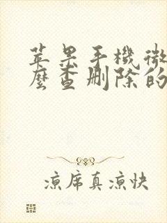 苹果手机微信怎么查删除的聊天记录