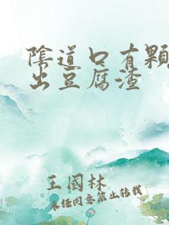 阴道口有颗粒流出豆腐渣