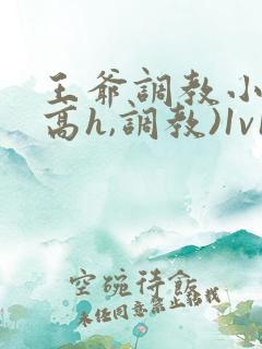 王爷调教小说(高h,调教)1v1