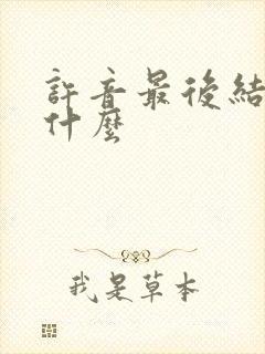 许音最后结局是什么