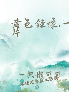 黄色录像,一级片