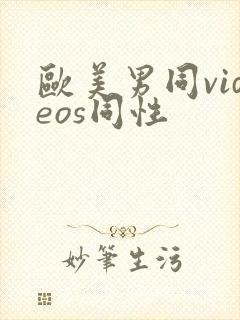 欧美男同videos同性