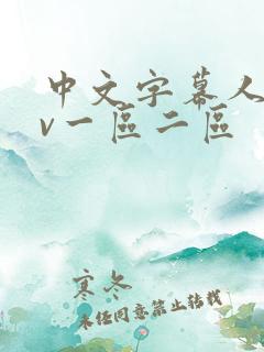 中文字幕人妻av一区二区