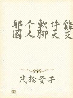 那个软件能和外国人聊天交友