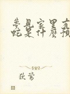 梦见家里有3条蛇是什么预兆