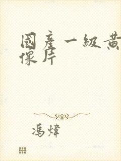 国产一级黄色录像片