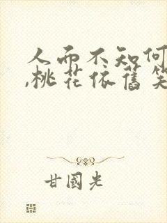 人面不知何处去,桃花依旧笑春风啥意思