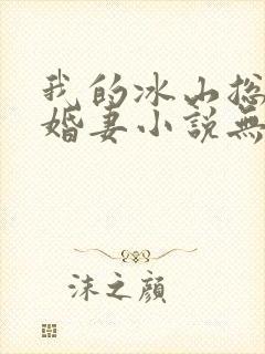 我的冰山总裁未婚妻小说无弹窗
