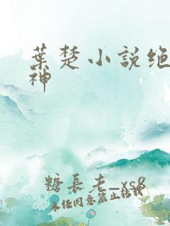 叶楚小说绝世邪神