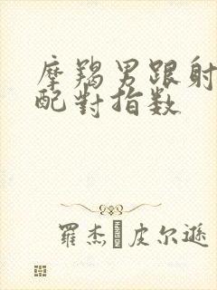 摩羯男跟射手女配对指数