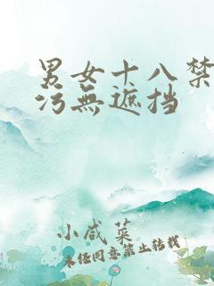 男女十八禁污污污无遮挡