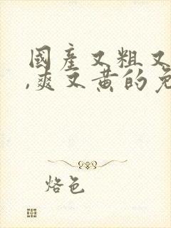 国产又粗又猛又,爽又黄的免费视频