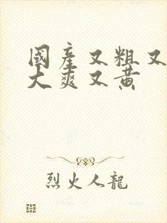 国产又粗又猛又大爽又黄