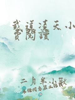 武道凌天小说免费阅读