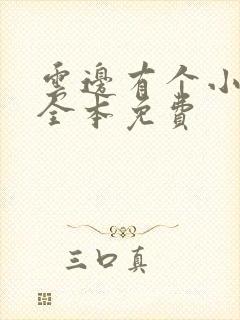 云边有个小卖部全本免费