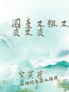 国产又粗又黄又爽又爽