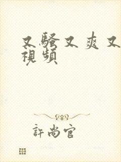 又骚又爽又黄的视频