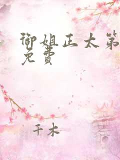 御姐正太第一季免费