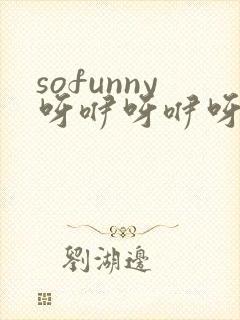 sofunny呀咿呀咿呀是什么歌名