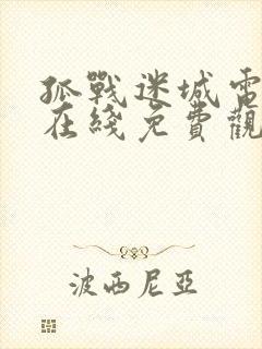 孤战迷城电视剧在线免费观看