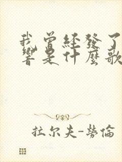 我曾经发了疯的响是什么歌