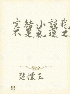 完结小说我真的不是气运之子