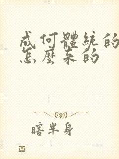 成何体统的太子怎么来的