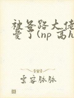 被各路大佬强制爱了(np 高h)小说