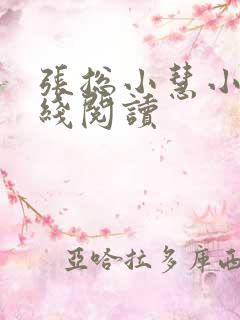 张总小慧小说在线阅读