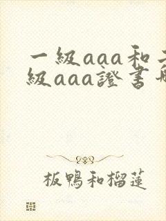 一级aaa和二级aaa证书哪个好