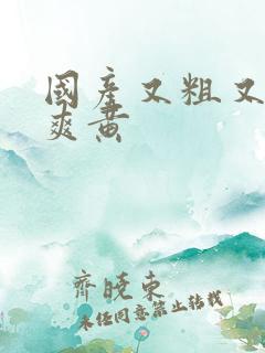 国产又粗又猛又爽黄