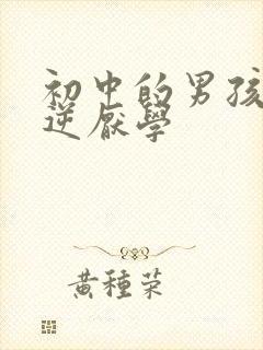 初中的男孩子叛逆厌学