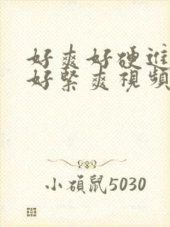 好爽好硬进去了好紧爽视频