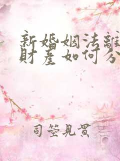 新婚姻法离婚后财产如何分割