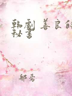 韩剧 善良的女秘书