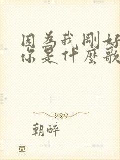 因为我刚好遇见你是什么歌