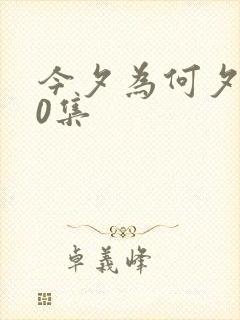 今夕为何夕100集