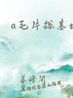 a毛片总基地