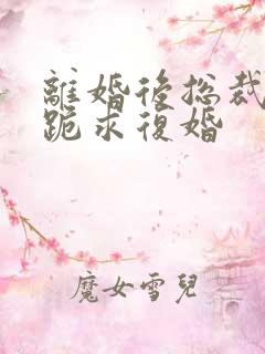 离婚后总裁天天跪求复婚