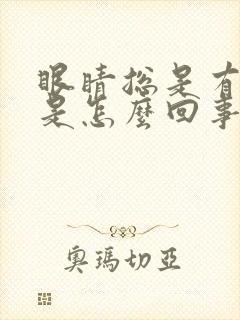 眼睛总是有眼屎是怎么回事