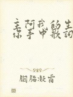 主阿我的生命在你手中歌词歌谱带歌谱