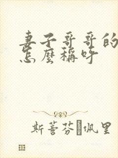 妻子哥哥的儿子怎么称呼