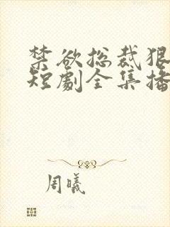 禁欲总裁狠狠宠短剧全集播放