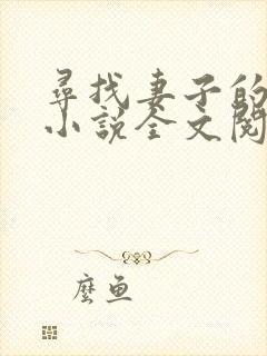 寻找妻子的秘密小说全文阅读