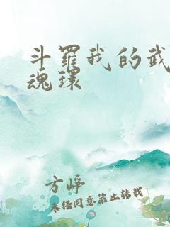 斗罗我的武魂是魂环