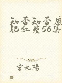 知否知否应是绿肥红瘦56集在线观看