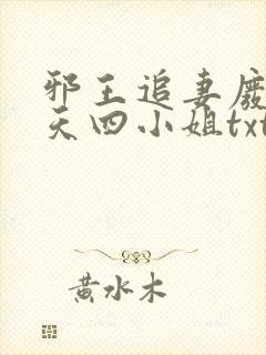 邪王追妻废材逆天四小姐txt