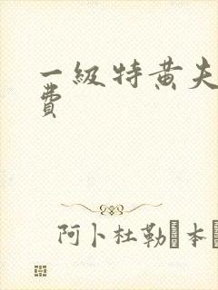 一级特黄夫妻免费