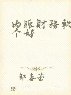 内账财务软件哪个好