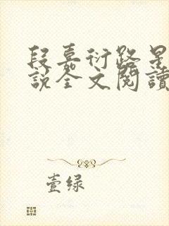 段嘉衍路星辞小说全文阅读免费